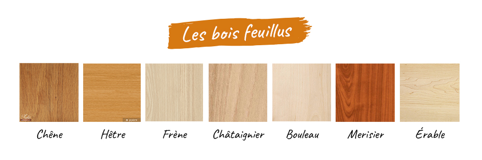 Quelle essence de bois? - Bois-Mania