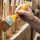 Comment raviver la couleur d’un bois grisaillé en extérieur ?